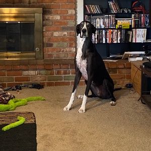 Meet your Posher, Erica